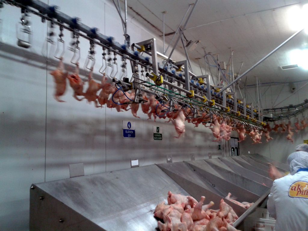 Fiyatlar ucuzlayacak