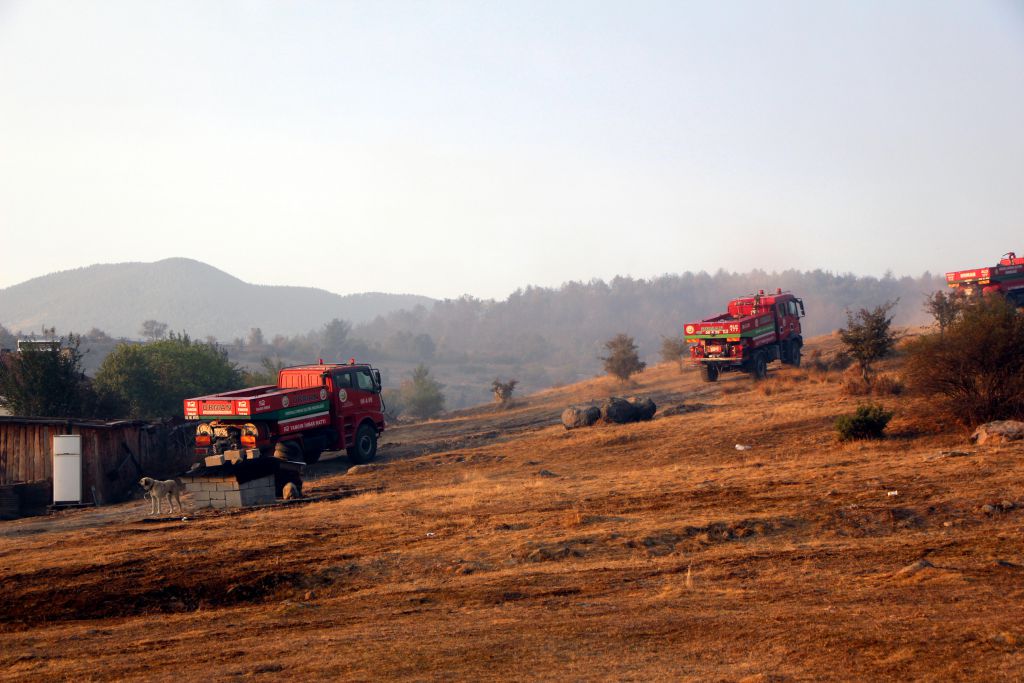Tam 40 hektar zarar gördü