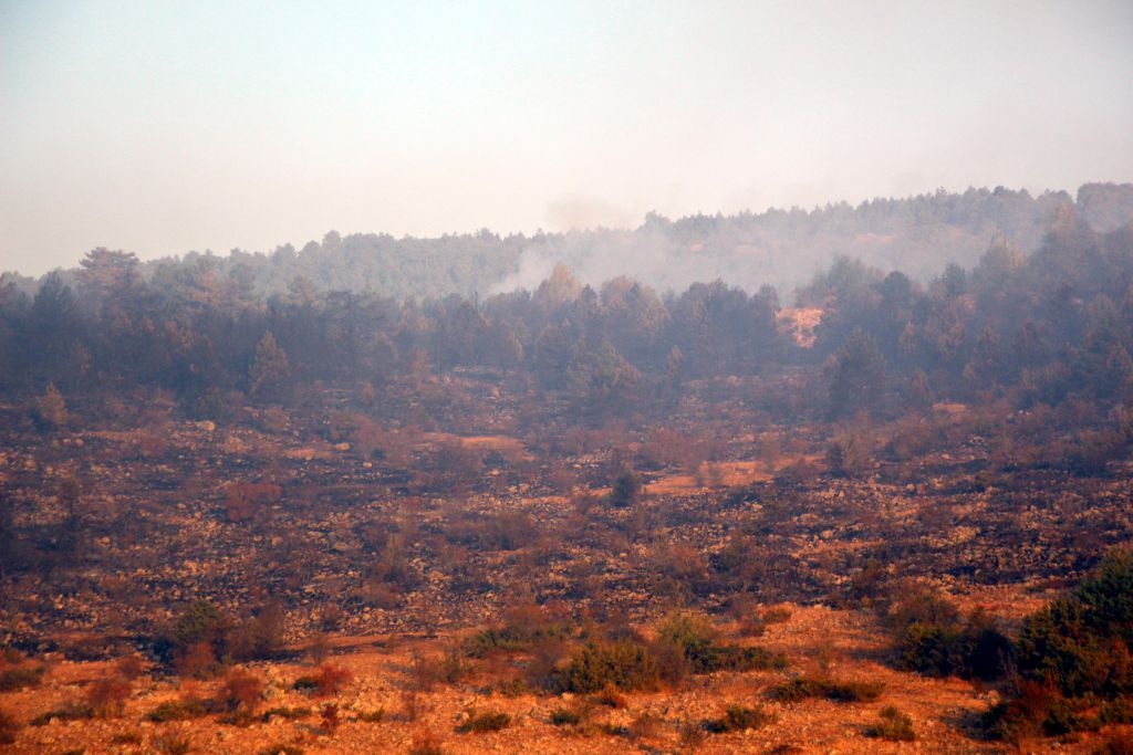 Tam 40 hektar zarar gördü