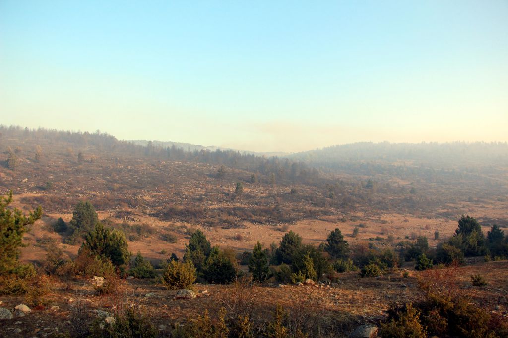 Tam 40 hektar zarar gördü
