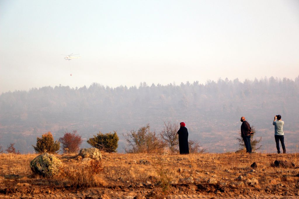 Tam 40 hektar zarar gördü
