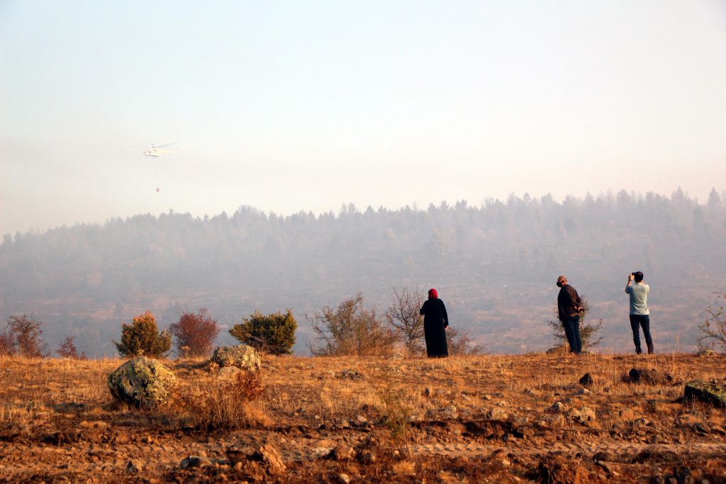Tam 40 hektar zarar gördü