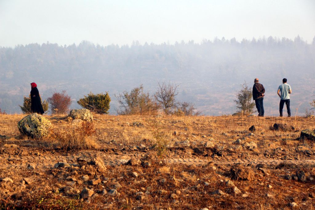 Tam 40 hektar zarar gördü