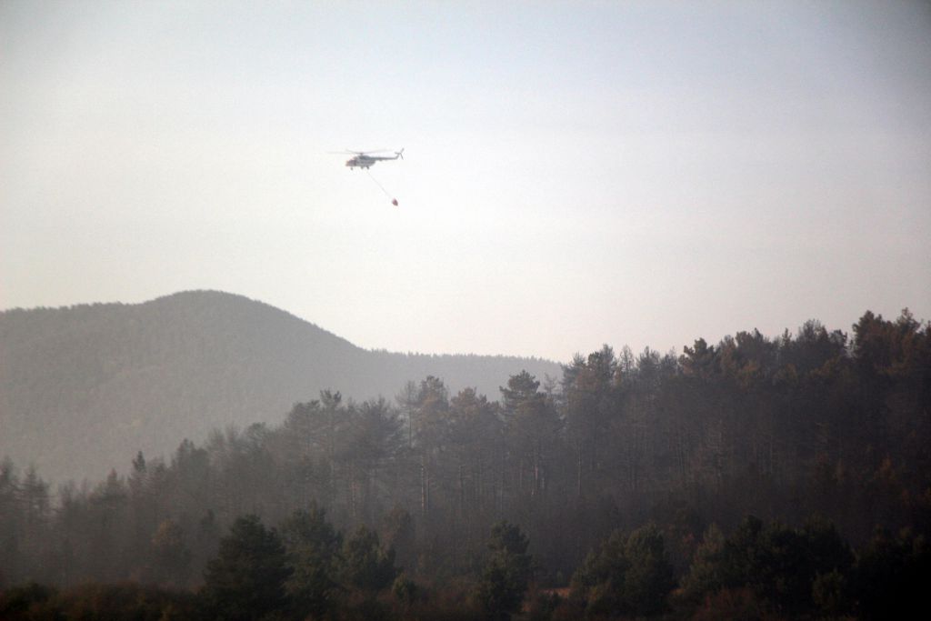 Tam 40 hektar zarar gördü