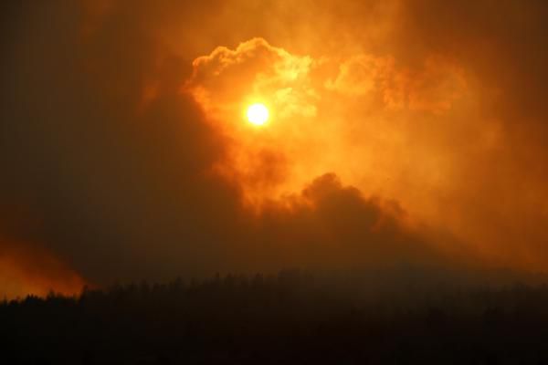 Tam 40 hektar zarar gördü