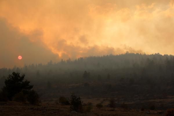 Tam 40 hektar zarar gördü