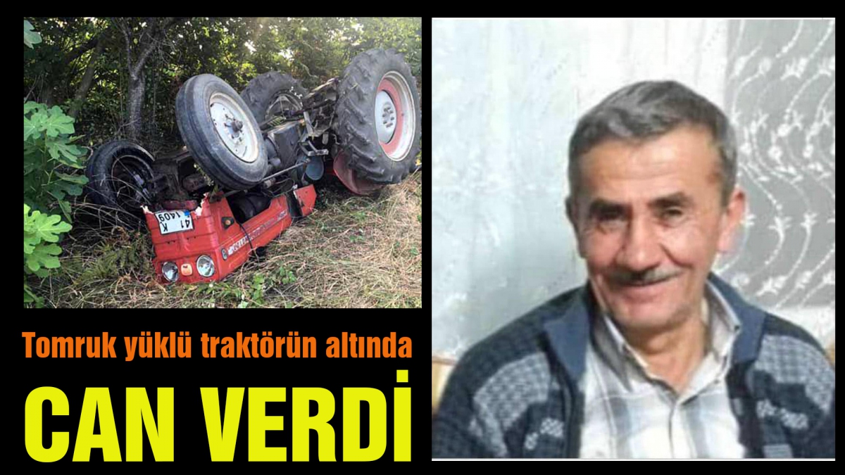 Tomruk yüklü traktörün altında can verdi