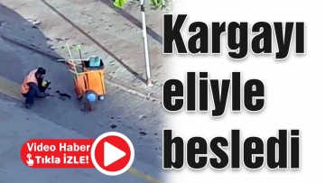 Kargayı eliyle besledi