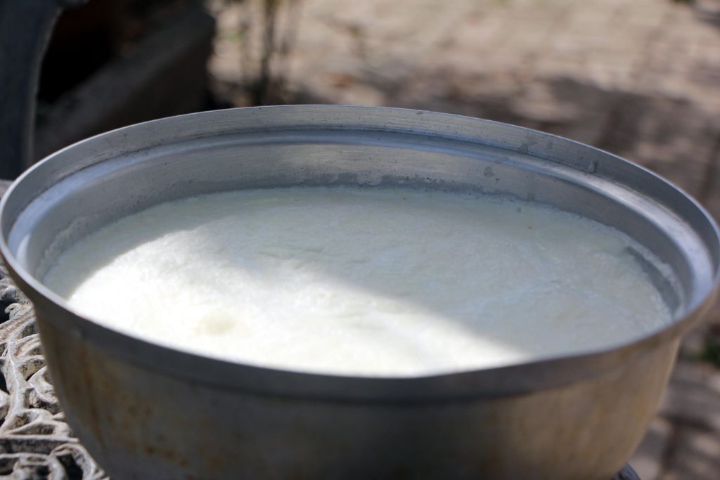 Manda kaymağı Bolu'nun tescilli ürünü oldu