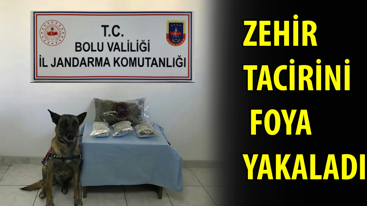 Zehir tacirini Foya yakaladı