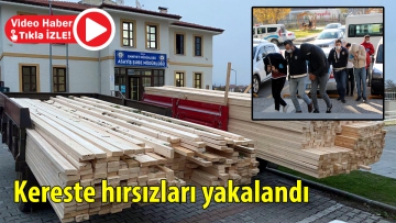 Kereste hırsızları yakalandı
