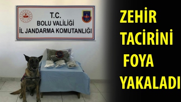 Zehir tacirini Foya yakaladı
