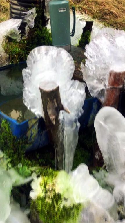 Köroğlu Dağları'nda şelale ve dereler buz tuttu