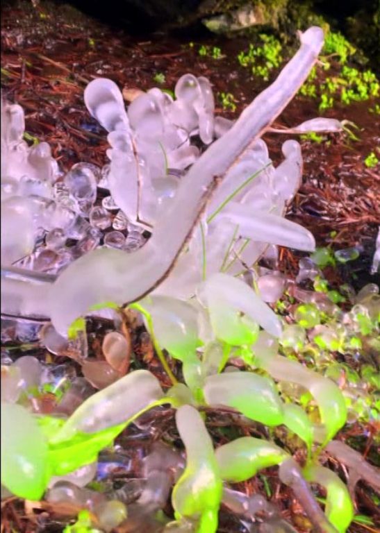 Köroğlu Dağları'nda şelale ve dereler buz tuttu