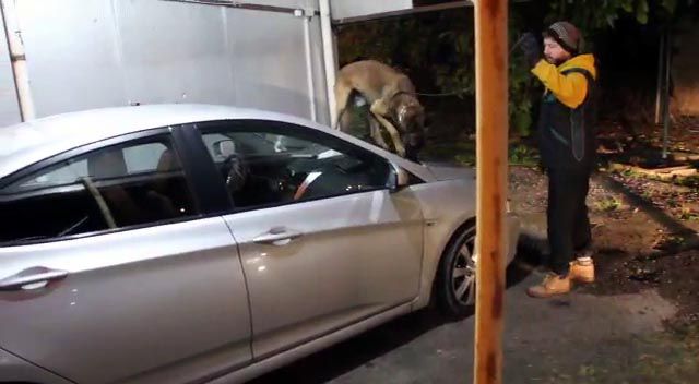 Uyuşturucu hapla anlamlı mesaj