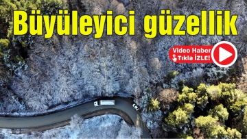 Büyüleyici güzellik