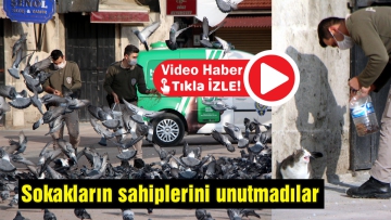 Sokağın sahiplerini unutmadılar