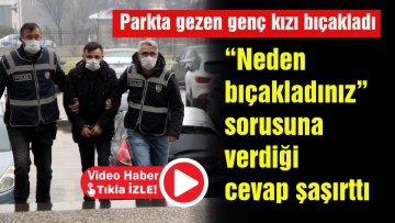 Parkta gezen genç kızı bıçakladı