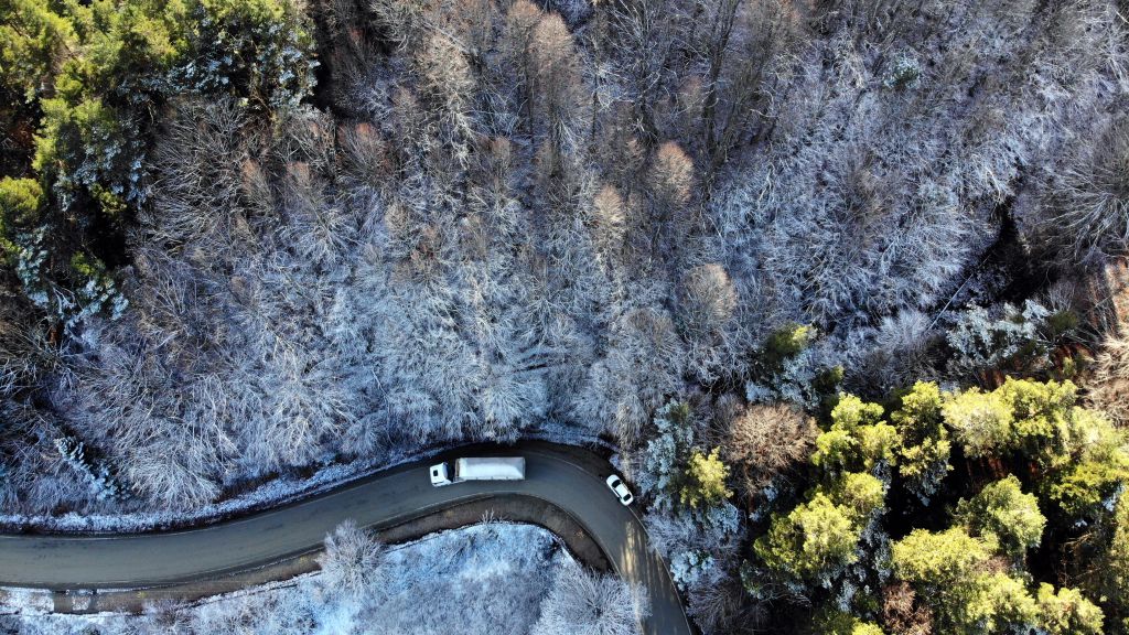 Büyüleyici güzellik