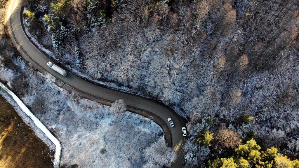 Büyüleyici güzellik