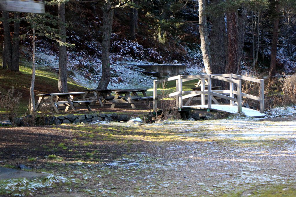 Büyüleyici güzellik