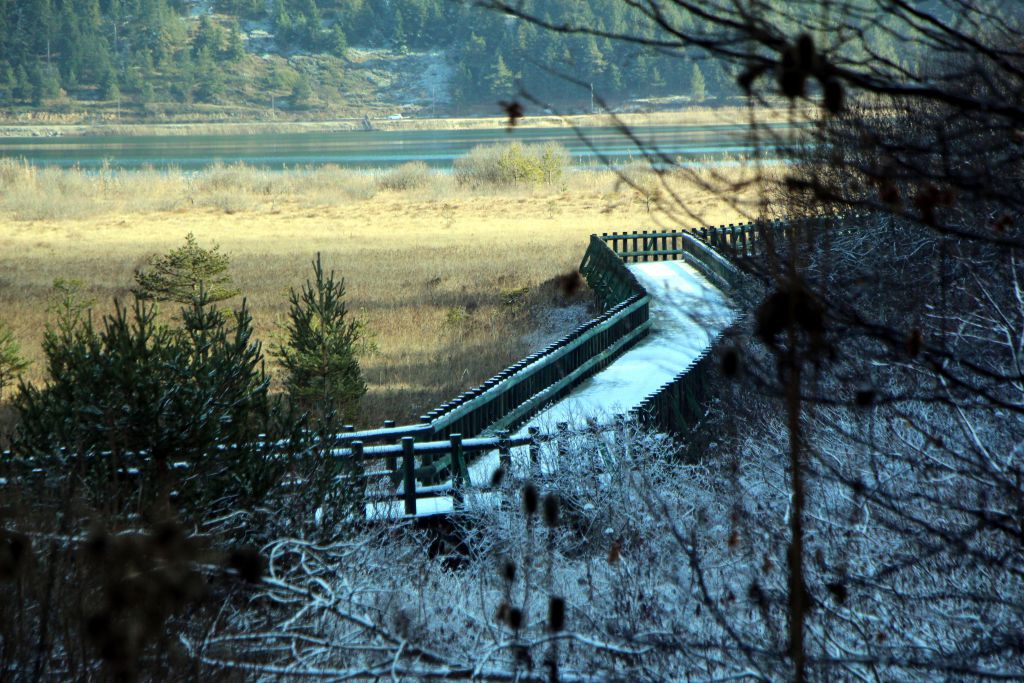 Büyüleyici güzellik