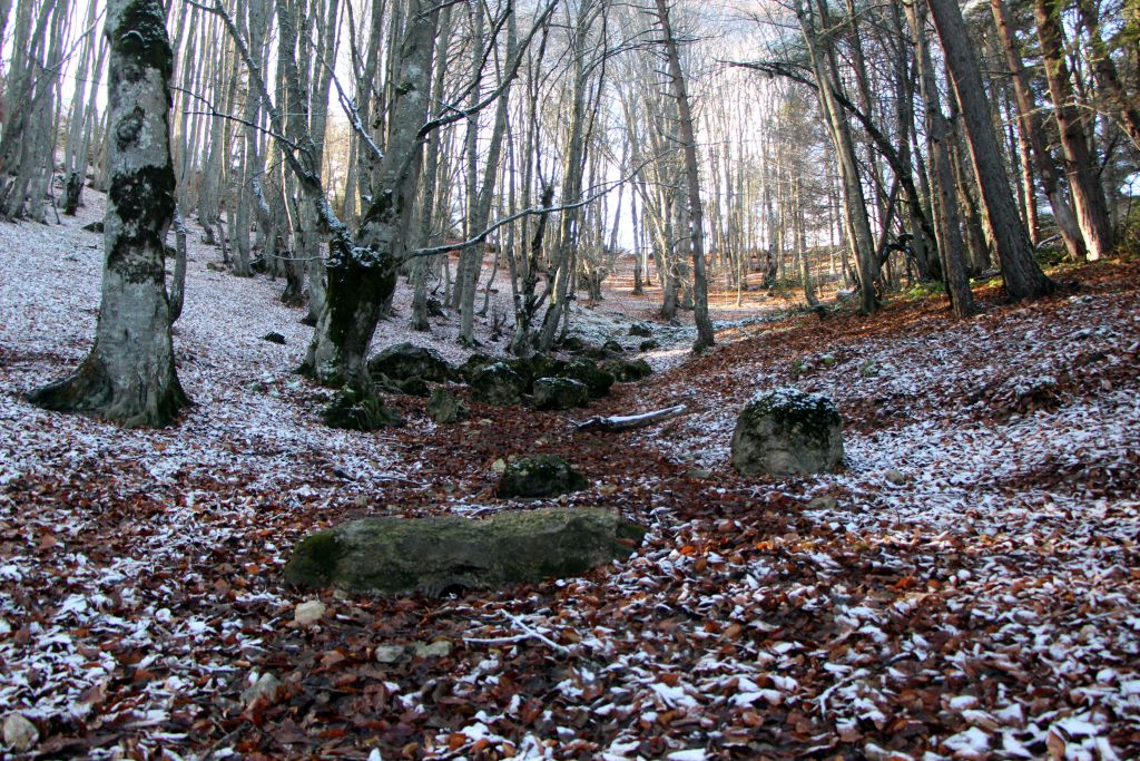 Büyüleyici güzellik