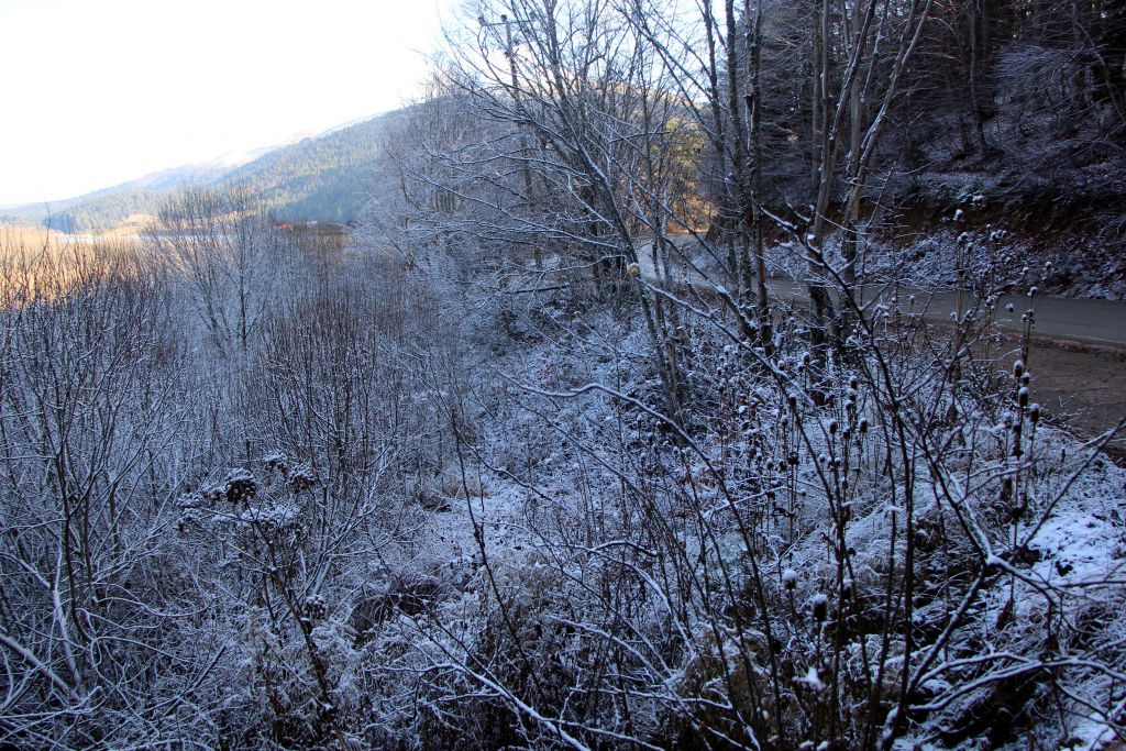 Büyüleyici güzellik