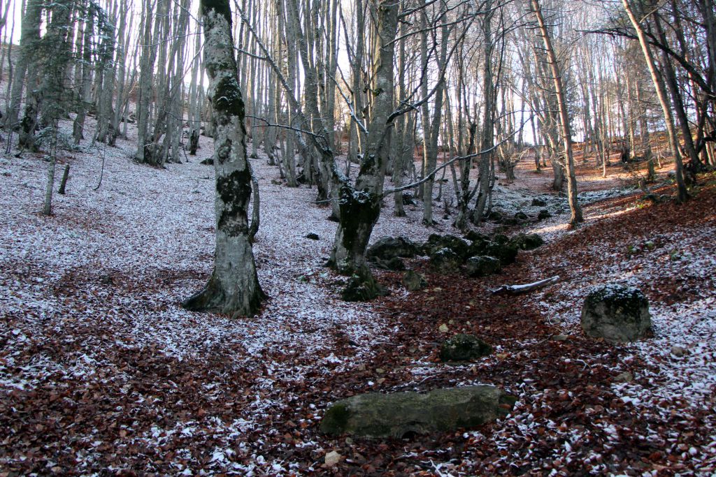 Büyüleyici güzellik