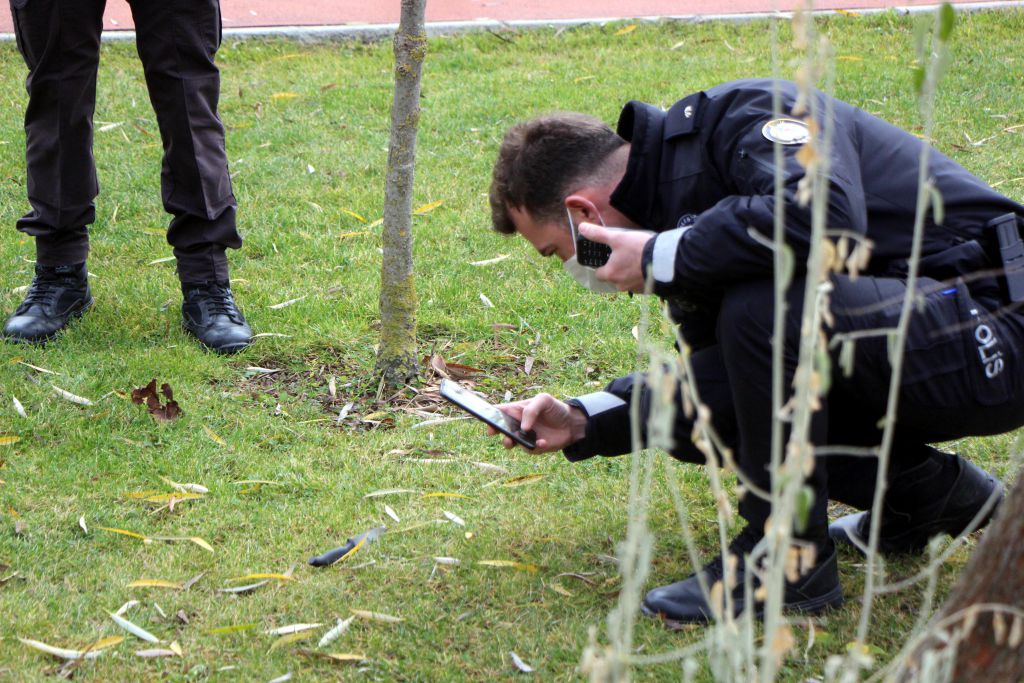 Parkta gezen genç kızı bıçakladı