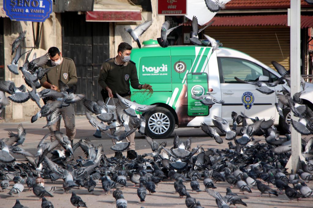 Sokağın sahiplerini unutmadılar