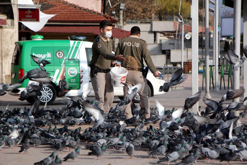 Sokağın sahiplerini unutmadılar
