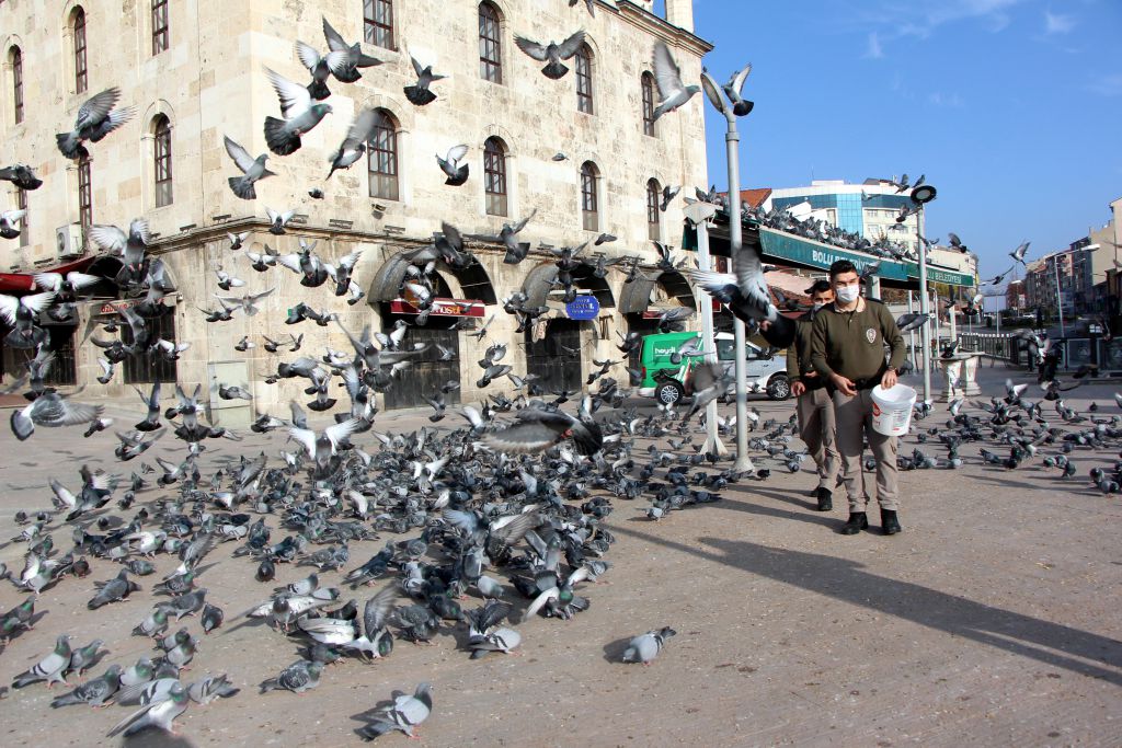 Sokağın sahiplerini unutmadılar