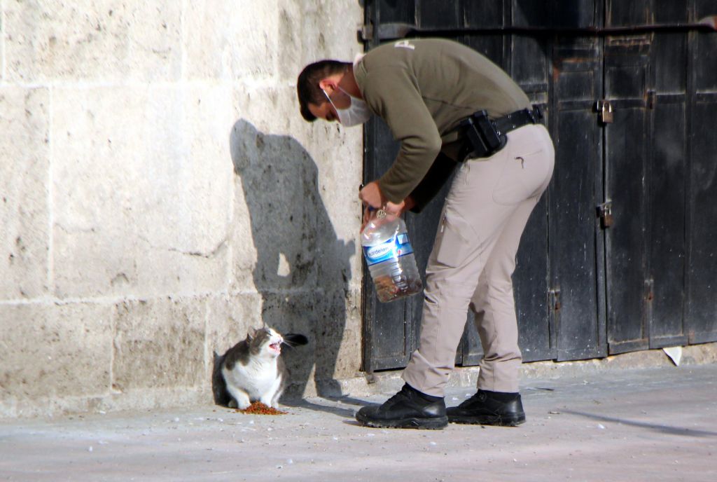 Sokağın sahiplerini unutmadılar