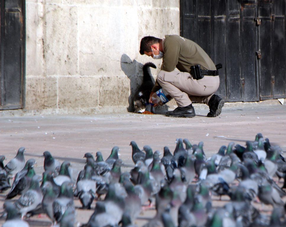 Sokağın sahiplerini unutmadılar