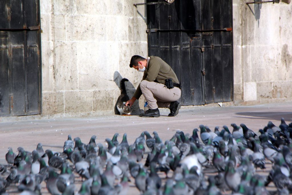 Sokağın sahiplerini unutmadılar