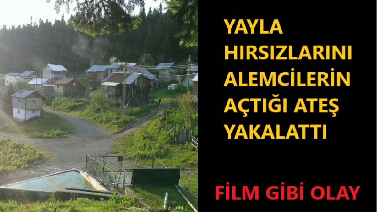 YAYLA HIRSIZLARI SERT KAYAYA TOSLADI