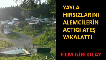 YAYLA HIRSIZLARI SERT KAYAYA TOSLADI