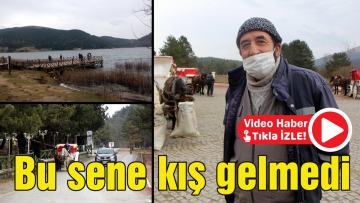 Bu sene kış gelmedi