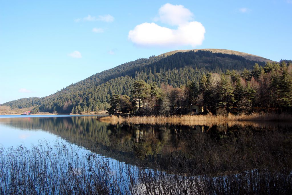 Abant Tabiat Parkı boş kaldı
