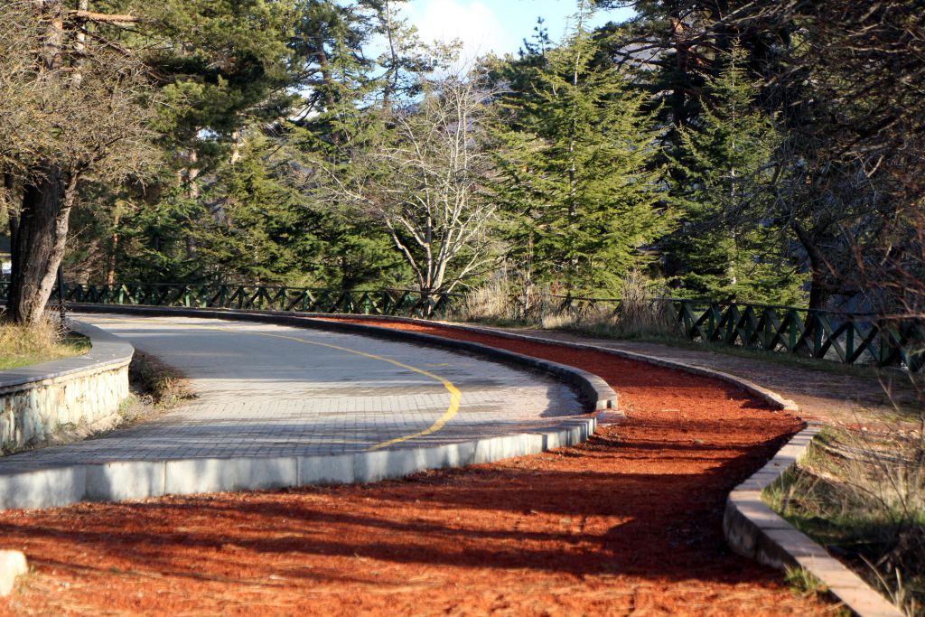 Abant Tabiat Parkı boş kaldı