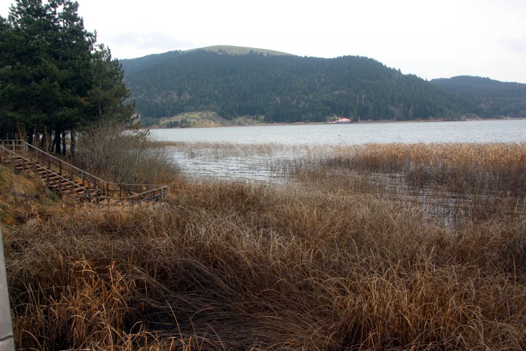 Bu sene kış gelmedi