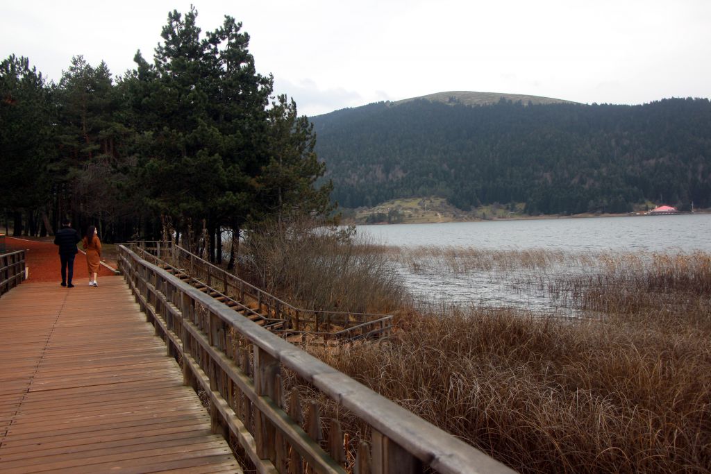 Bu sene kış gelmedi