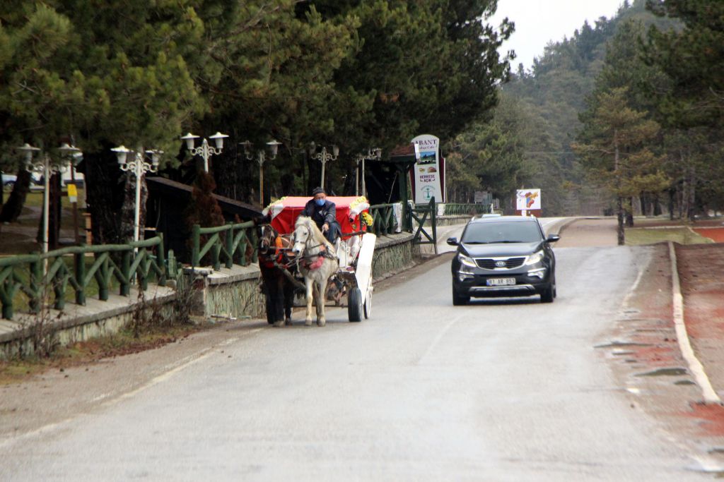 Bu sene kış gelmedi