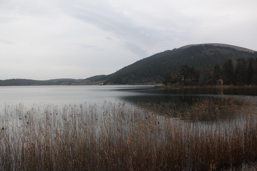 Bu sene kış gelmedi