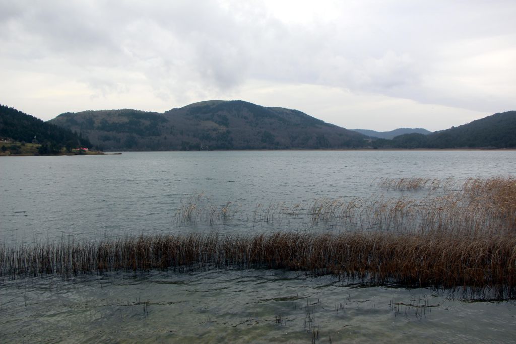 Bu sene kış gelmedi