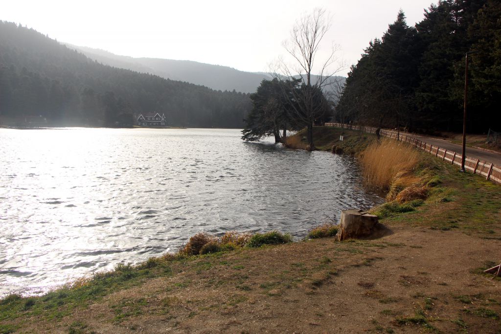 Bu sene kış gelmedi