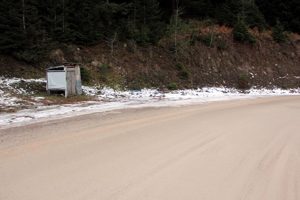 Bu yıl ekmeksiz kaldılar