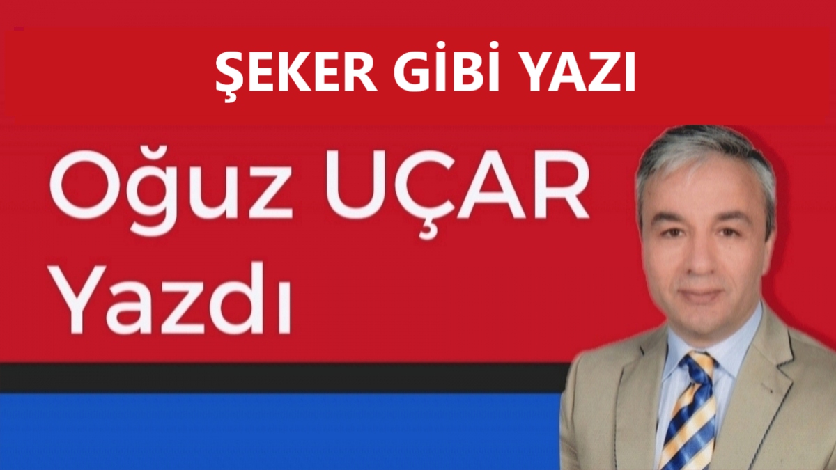 ŞEKER GİBİ YAZI