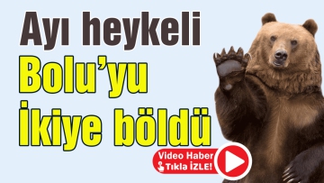 Ayı heykeli Bolu'yu ikiye böldü